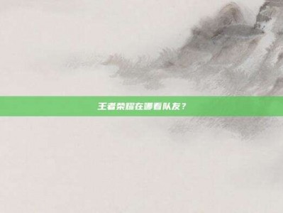 王者荣耀在哪看队友？