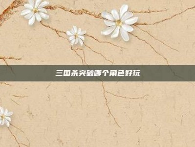 三国杀突破哪个角色好玩