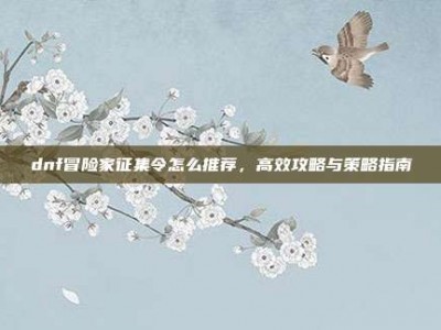 dnf冒险家征集令怎么推荐，高效攻略与策略指南