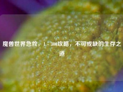 魔兽世界急救，1 - 300攻略，不可或缺的生存之道