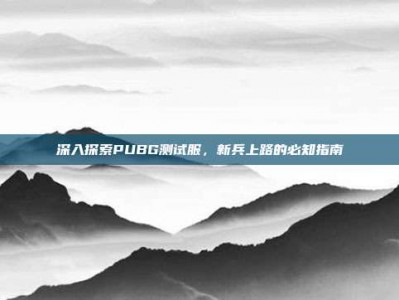 深入探索PUBG测试服，新兵上路的必知指南