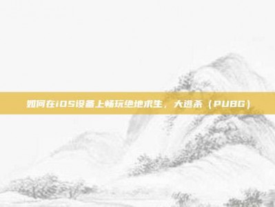如何在iOS设备上畅玩绝地求生，大逃杀（PUBG）