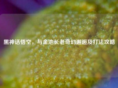 黑神话悟空，与金池长老奇幻邂逅及打法攻略