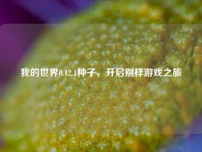 我的世界0.12.1种子，开启别样游戏之旅
