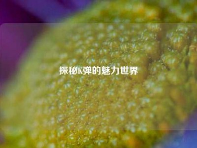 探秘K弹的魅力世界