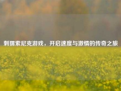 刺猬索尼克游戏，开启速度与激情的传奇之旅