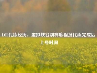 LOL代练经历，虚拟峡谷别样旅程及代练完成后上号时间