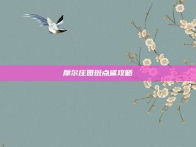 摩尔庄园斑点鲨攻略