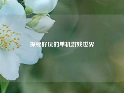 探秘好玩的单机游戏世界