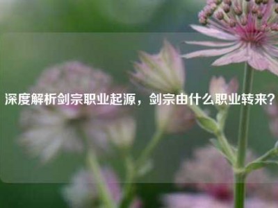 深度解析剑宗职业起源，剑宗由什么职业转来？