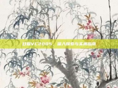 日版VC2005，深入探索与实用指南