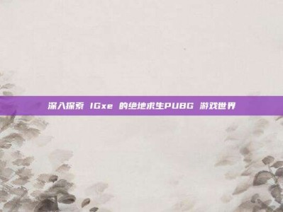 深入探索 IGxe 的绝地求生PUBG 游戏世界