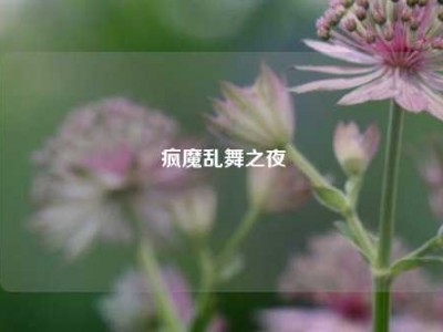 疯魔乱舞之夜