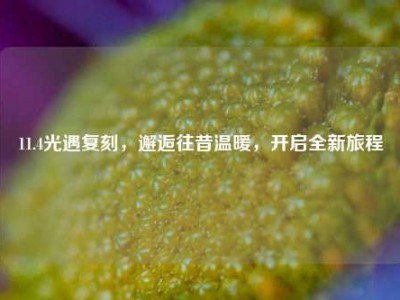 11.4光遇复刻，邂逅往昔温暖，开启全新旅程