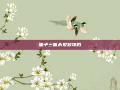 黑子三国杀视频攻略