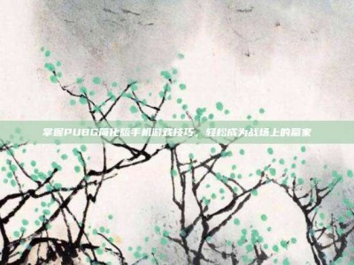 掌握PUBG简化版手机游戏技巧，轻松成为战场上的赢家