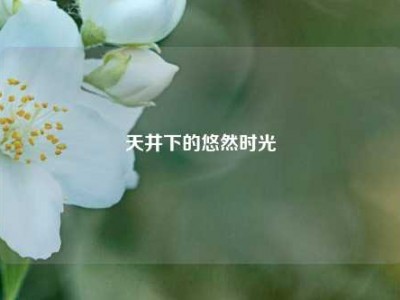 天井下的悠然时光