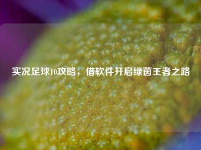 实况足球10攻略，借软件开启绿茵王者之路
