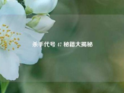 杀手代号 47 秘籍大揭秘