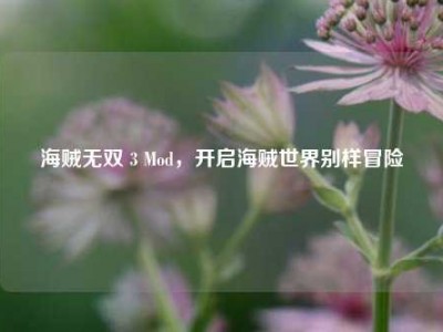 海贼无双 3 Mod，开启海贼世界别样冒险