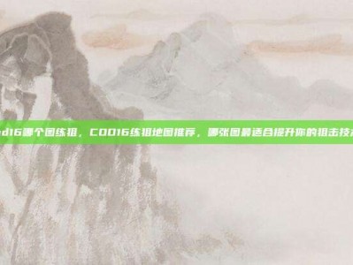 cod16哪个图练狙，COD16练狙地图推荐，哪张图最适合提升你的狙击技术？