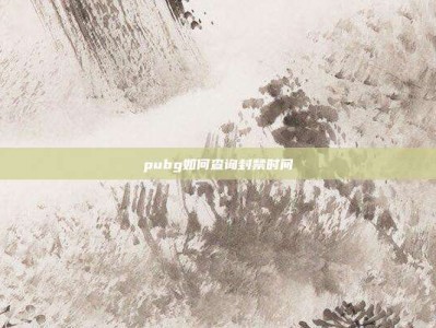 pubg如何查询封禁时间