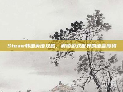 Steam韩国英语攻略，解锁游戏世界的语言障碍