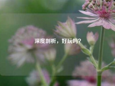 深度剖析，好玩吗？