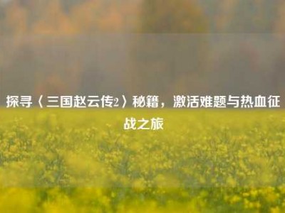 探寻〈三国赵云传2〉秘籍，激活难题与热血征战之旅