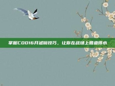 掌握COD16开滤镜技巧，让你在战场上如鱼得水