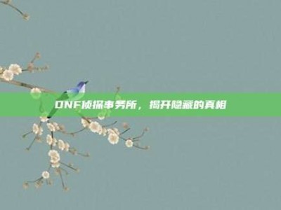 DNF侦探事务所，揭开隐藏的真相
