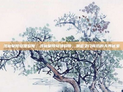 寻仙皇陵穹顶裂隙，寻仙皇陵穹顶裂隙，禁忌之门背后的天界秘宝