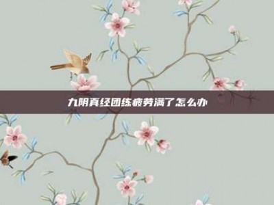 九阴真经团练疲劳满了怎么办