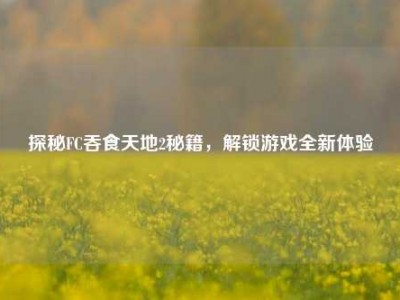 探秘FC吞食天地2秘籍，解锁游戏全新体验
