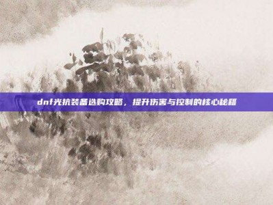 dnf光抗装备选购攻略，提升伤害与控制的核心秘籍