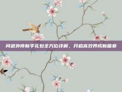 问道外传新手礼包全方位详解，开启高效养成新篇章
