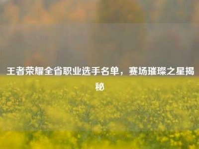 王者荣耀全省职业选手名单，赛场璀璨之星揭秘