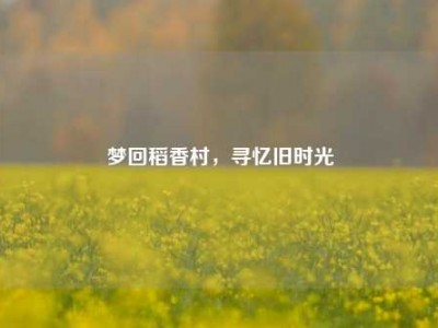 梦回稻香村，寻忆旧时光