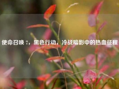 使命召唤 7，黑色行动，冷战暗影中的热血征程