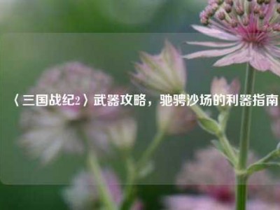 〈三国战纪2〉武器攻略，驰骋沙场的利器指南