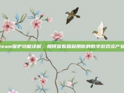 Steam保护功能详解，如何查看和利用你的数字游戏资产安全