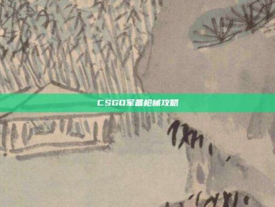 CSGO军备枪械攻略