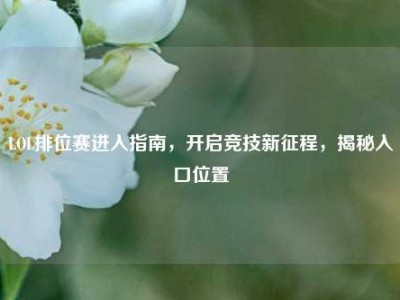 LOL排位赛进入指南，开启竞技新征程，揭秘入口位置