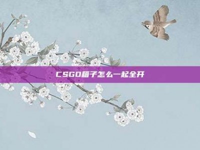 CSGO箱子怎么一起全开