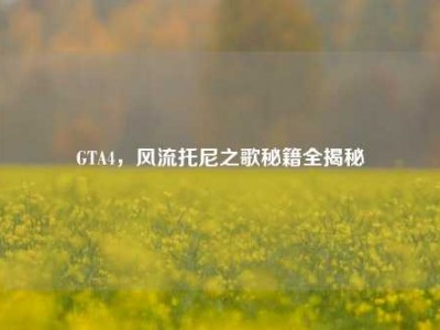 GTA4，风流托尼之歌秘籍全揭秘