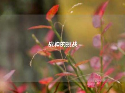 战神的挑战