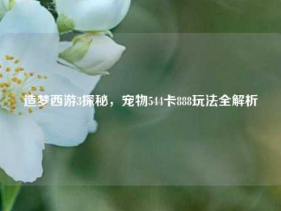 造梦西游3探秘，宠物544卡888玩法全解析