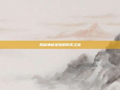 揭秘神秘宝珠的购买之旅