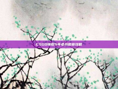 CSGO领取5年老兵徽章攻略