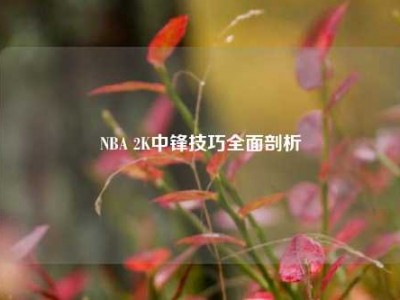 NBA 2K中锋技巧全面剖析